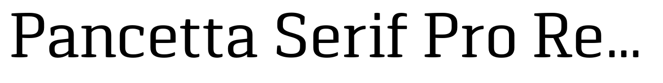 Pancetta Serif Pro Regular